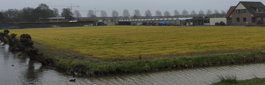 Glyfosaat gebruik aan de rand van het Ramplaankwartier